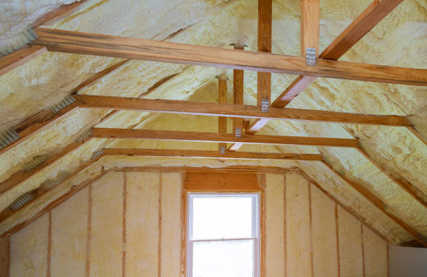Best Cellulose Insulation in Seneca, SC